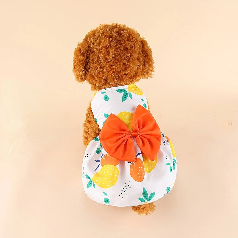 Daisy Princess Dress for Small Dogs