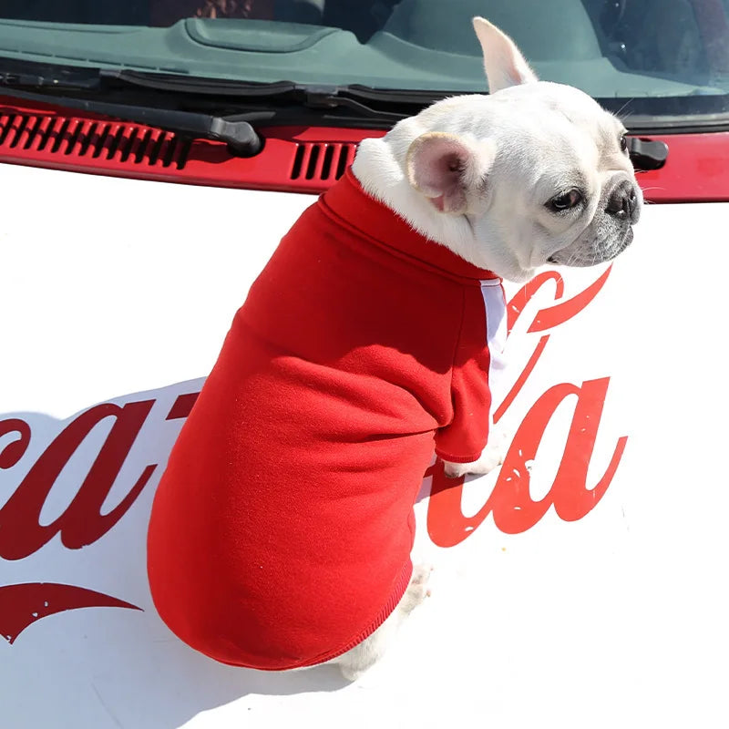 Baseball Jacket for Small Dogs