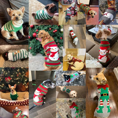 Christmas Knitted Sweater for Dogs