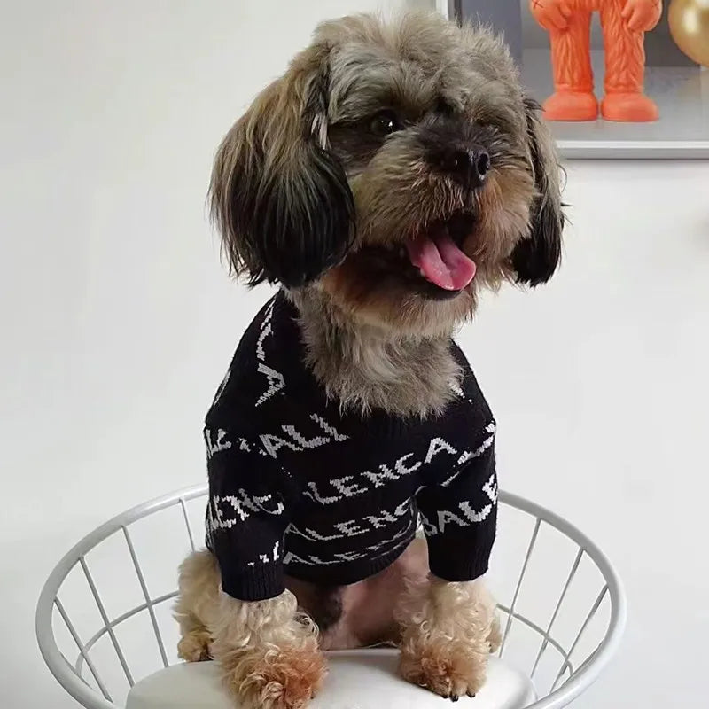 Knitted Letter Sweater for Pets