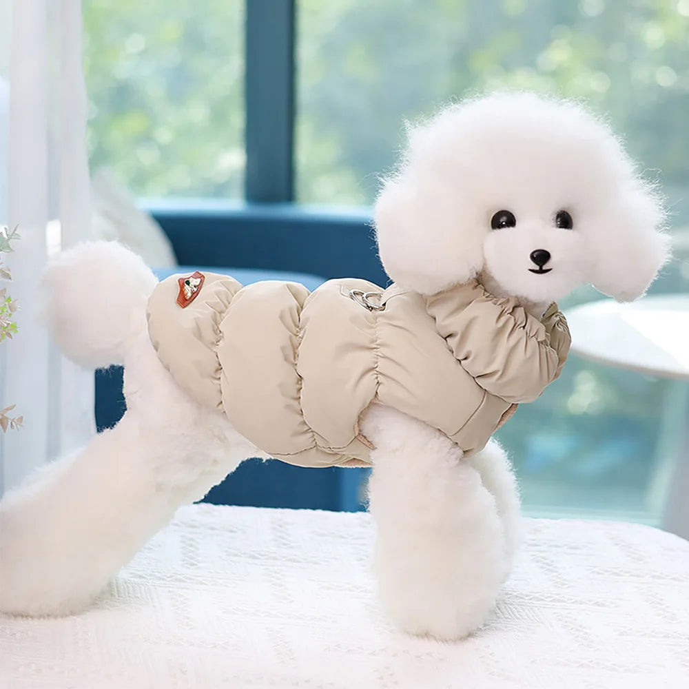 Padded Winter Coat for Small Dogs