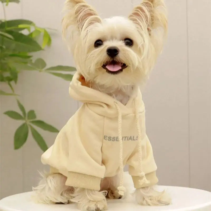 Fleece-Lined Hoodie for Small Dogs