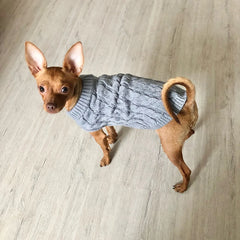 Knitted Sweater for Small Dogs