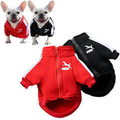 Baseball Jacket for Small Dogs