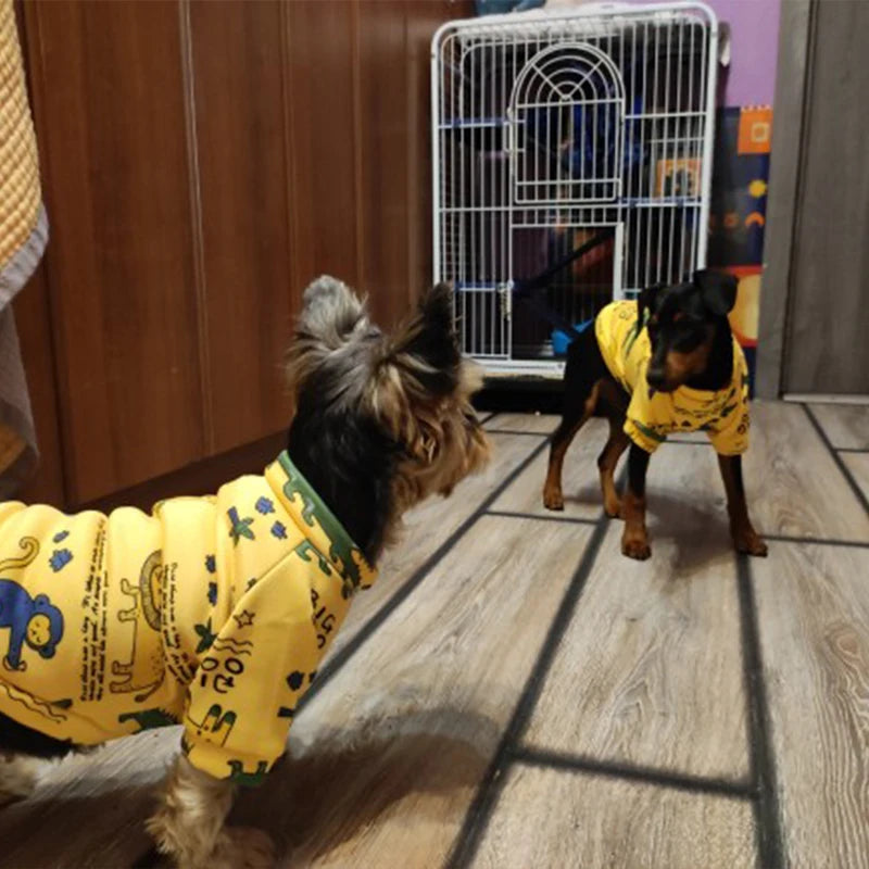 Personalized Jacket for Small Dogs