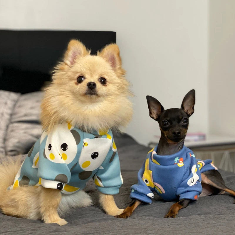 Personalized Jacket for Small Dogs